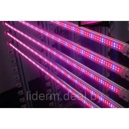 ФИТО лампа светодиодная тепличная Т8 1200мм G13 25Вт