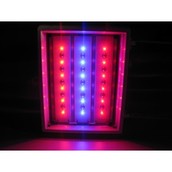 ФИТО светильник светодиодный (для растений) ДСП 01-3х6-005-УХЛ2 БИО (ССТ-18)