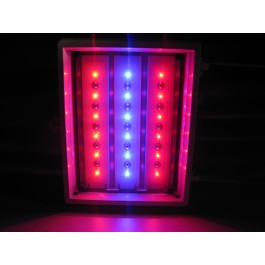 ФИТО светильник светодиодный (для растений) ДСП 01-3х6-005-УХЛ2 БИО (ССТ-18)